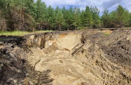 На территории Каменского района на 2 участках пресечено незаконное пользование природными ресурсами